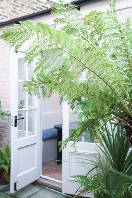 Cordyline Cottage on Kip Hideaways