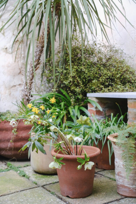 Cordyline Cottage on Kip Hideaways