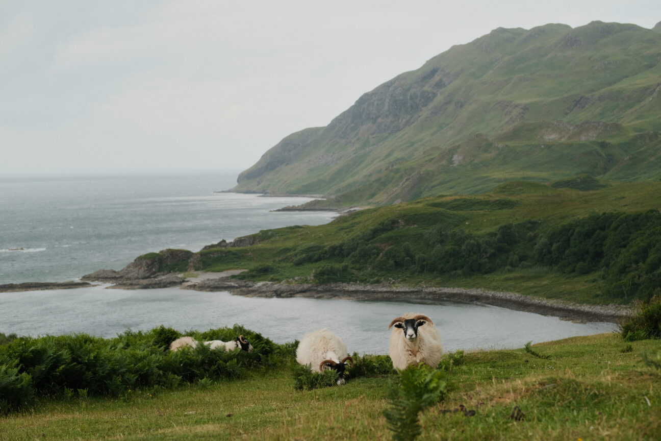 Ardnamurchan