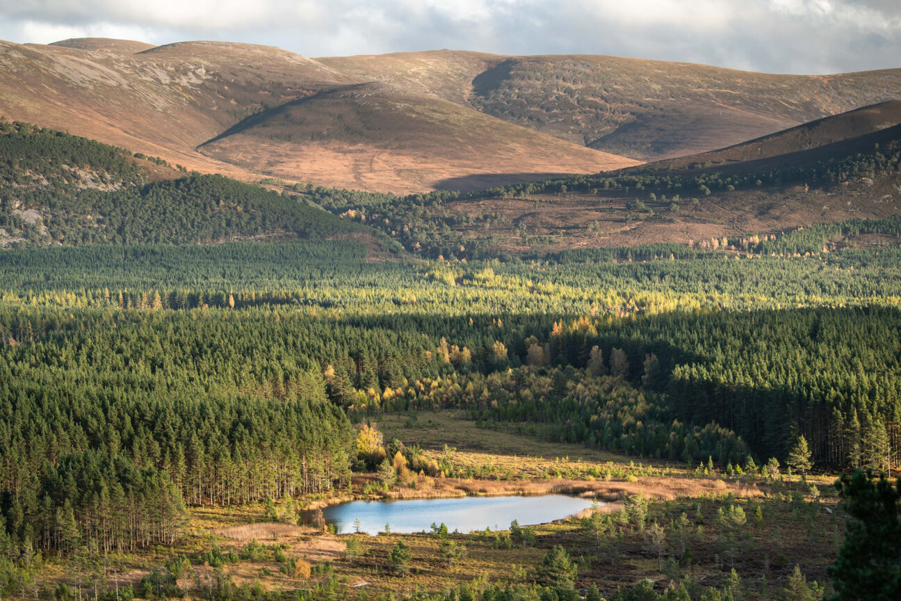 Cairngorms Cabin