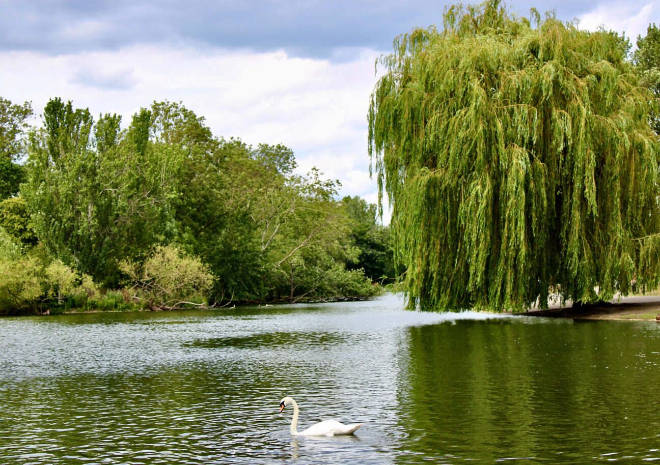 Regent's Park © Gabby Channeye via Unsplash