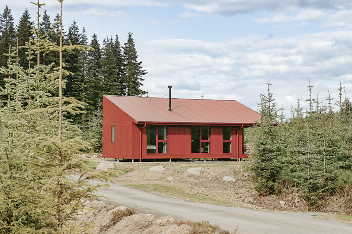 Hazel - Glen Glack Cabins, Scotland