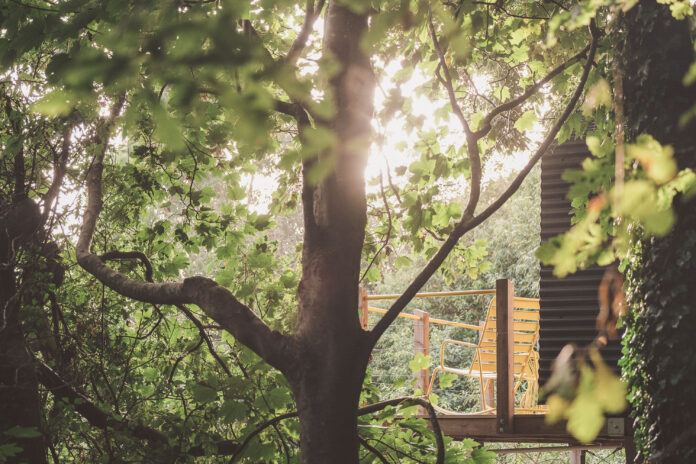 The Lookout Cabins, Devon
