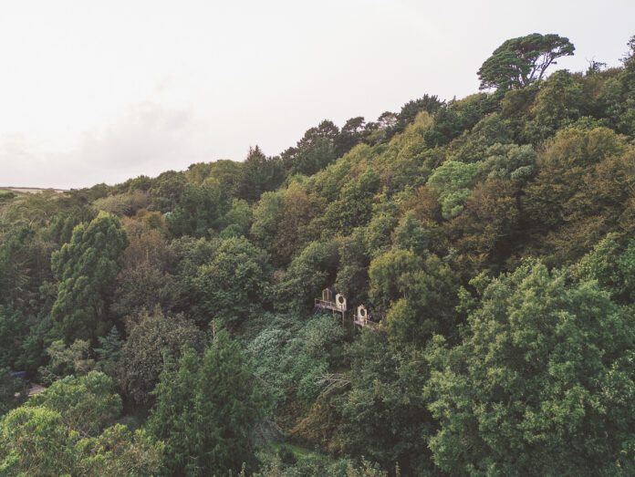 The Lookout Cabins, Devon