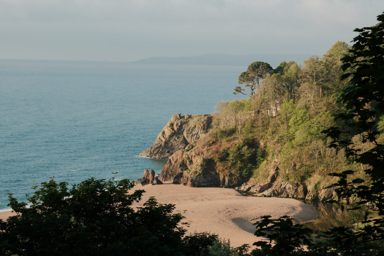 Wild COMFORT Devon