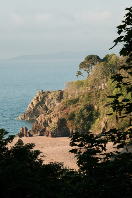 Wild COMFORT Devon