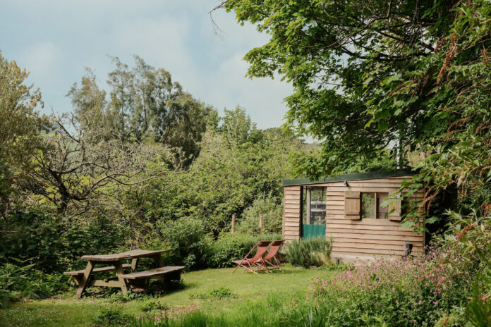 Wild COMFORT Devon