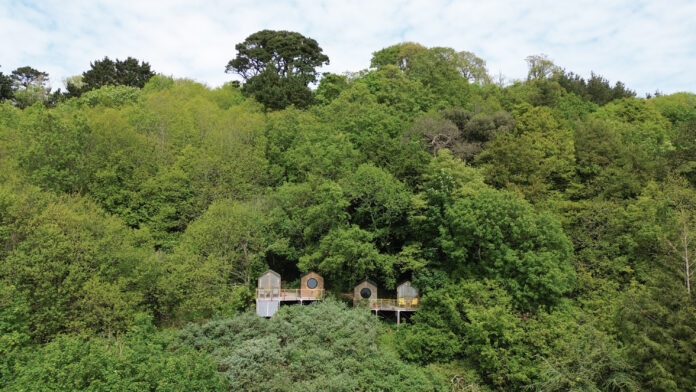 Wild COMFORT Devon