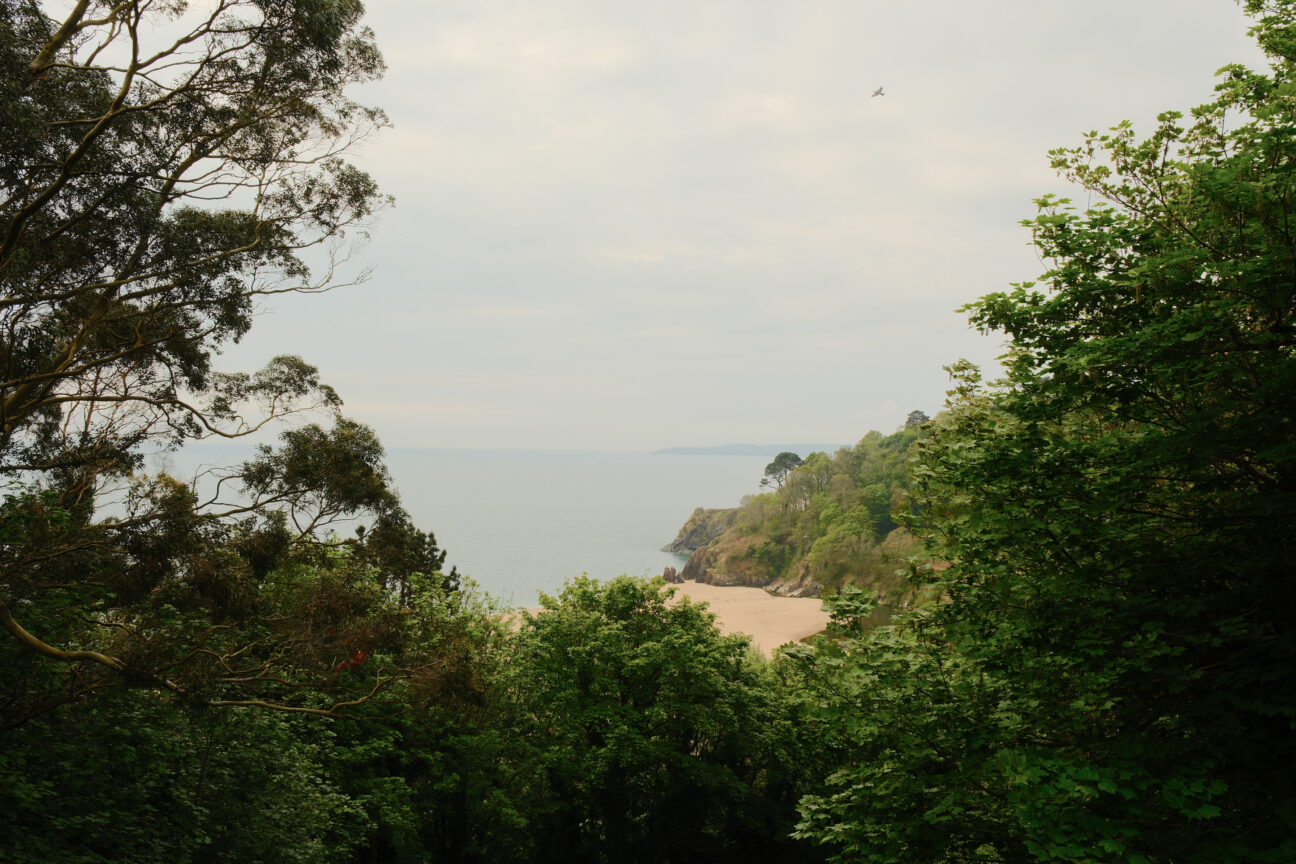 Wild COMFORT Devon