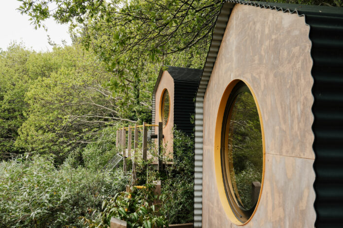 Wild COMFORT Devon
