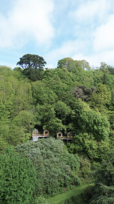 Wild COMFORT Devon