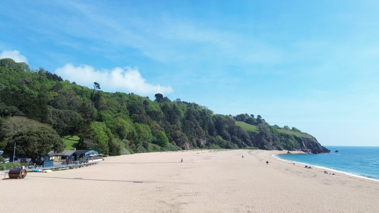 Wild COMFORT Devon