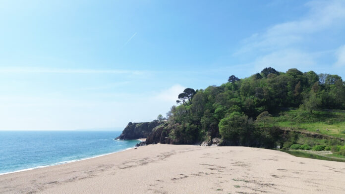 Wild COMFORT Devon