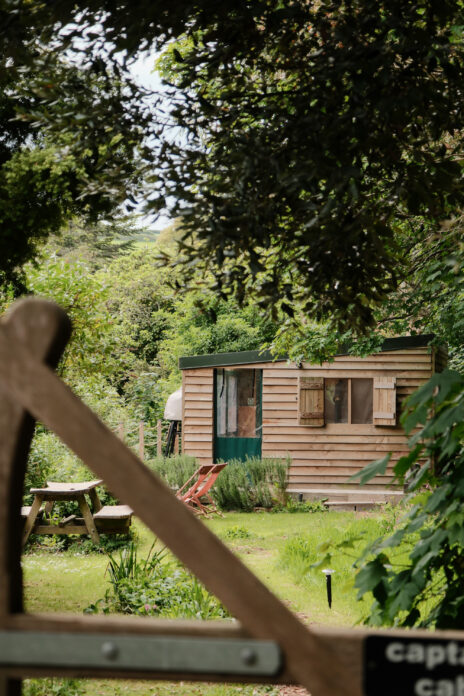 Wild COMFORT Devon