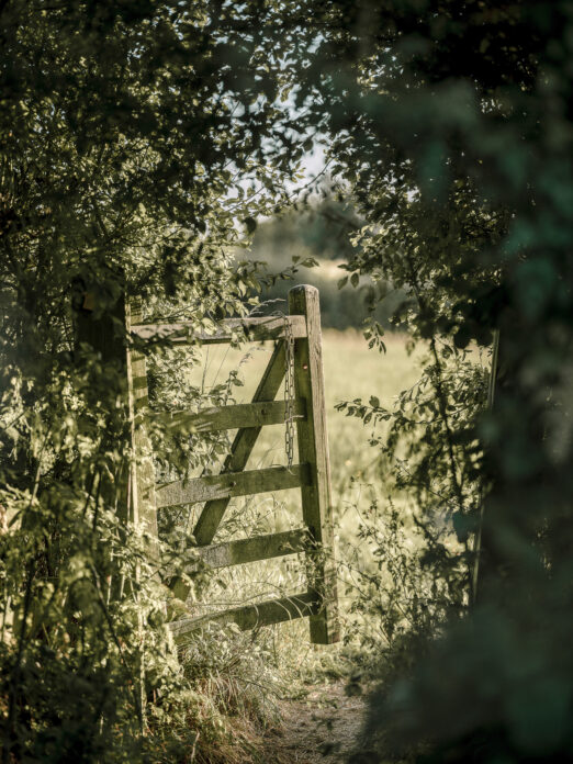 Craftsman's Cabin, Somerset