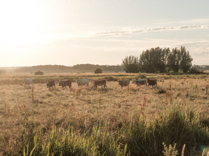 Craftsman's Cabin, Somerset
