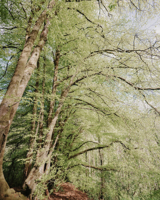 Chatan Cove Valley on Kip Hideaways