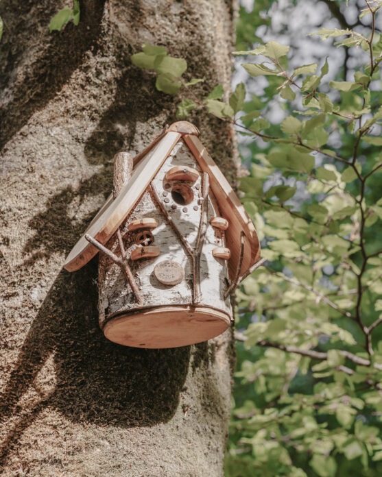 Chatan Cove Valley on Kip Hideaways