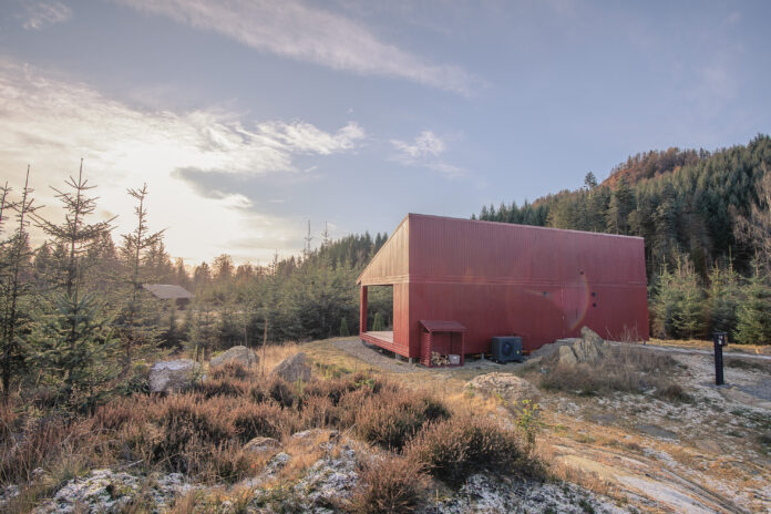 Juniper Glen Glack Graham Reid Photography2