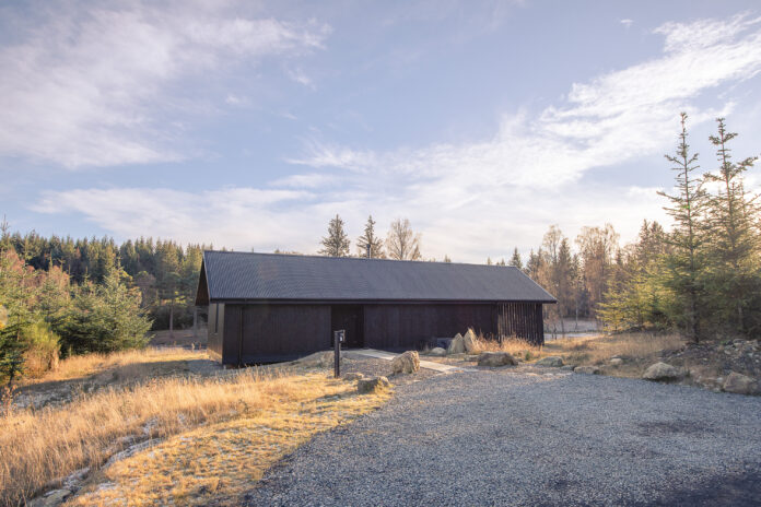 Larch Glen Glack Graham Reid Photography3