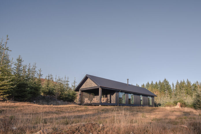 Larch Glen Glack Graham Reid Photography3