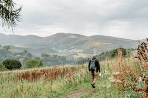 Llangollen Shacks - Finch