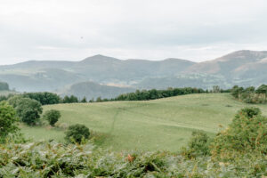 Llangollen Shacks - Finch