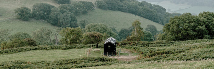 Llangollen Shacks - Finch