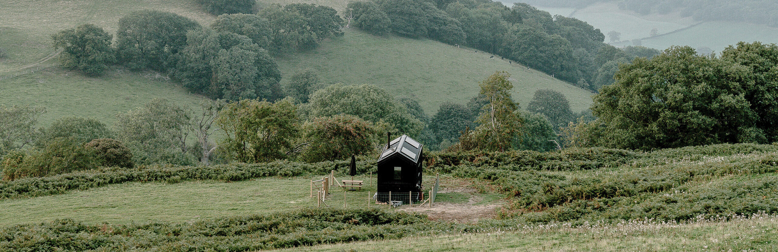 Llangollen Shacks - Finch