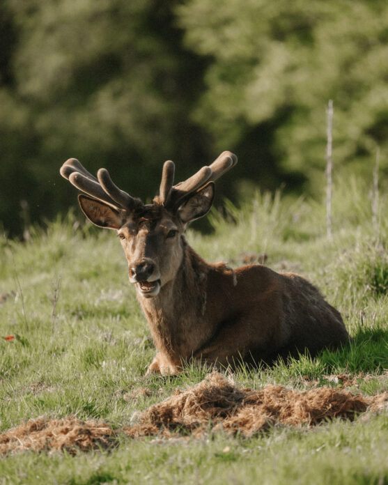 Ukai CoveValley on Kip Hideaways