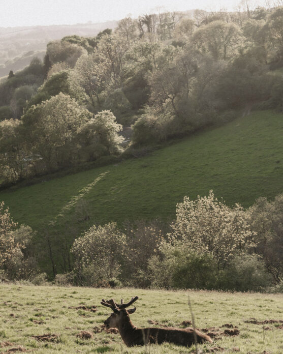 Ukai CoveValley on Kip Hideaways