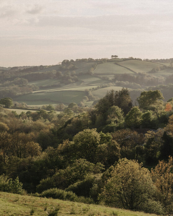 Ukai CoveValley on Kip Hideaways