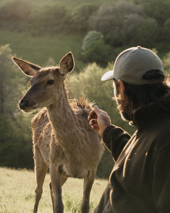 Ukai CoveValley on Kip Hideaways