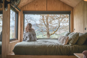 Llangollen Shacks Robin