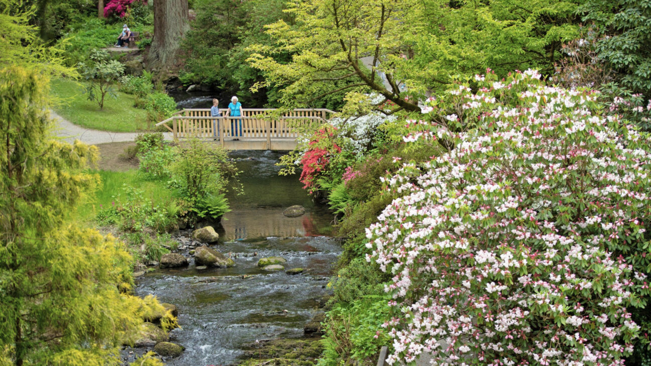 Bodnant Garden © National Trust