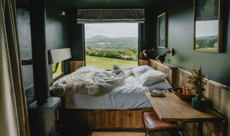rest-wild-768x454.jpg