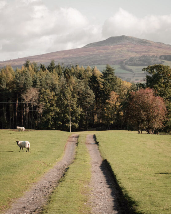 Rest & Wild Shropshire
