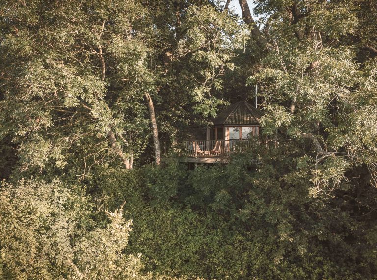 Venn-Brook-House-Woods-1-1-768x571.jpg