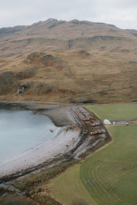 Borradil on Kip Hideaways