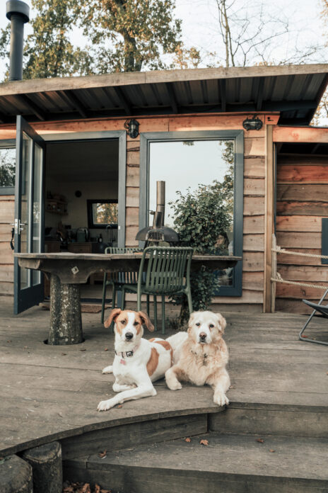 Woodland Hut T Barns