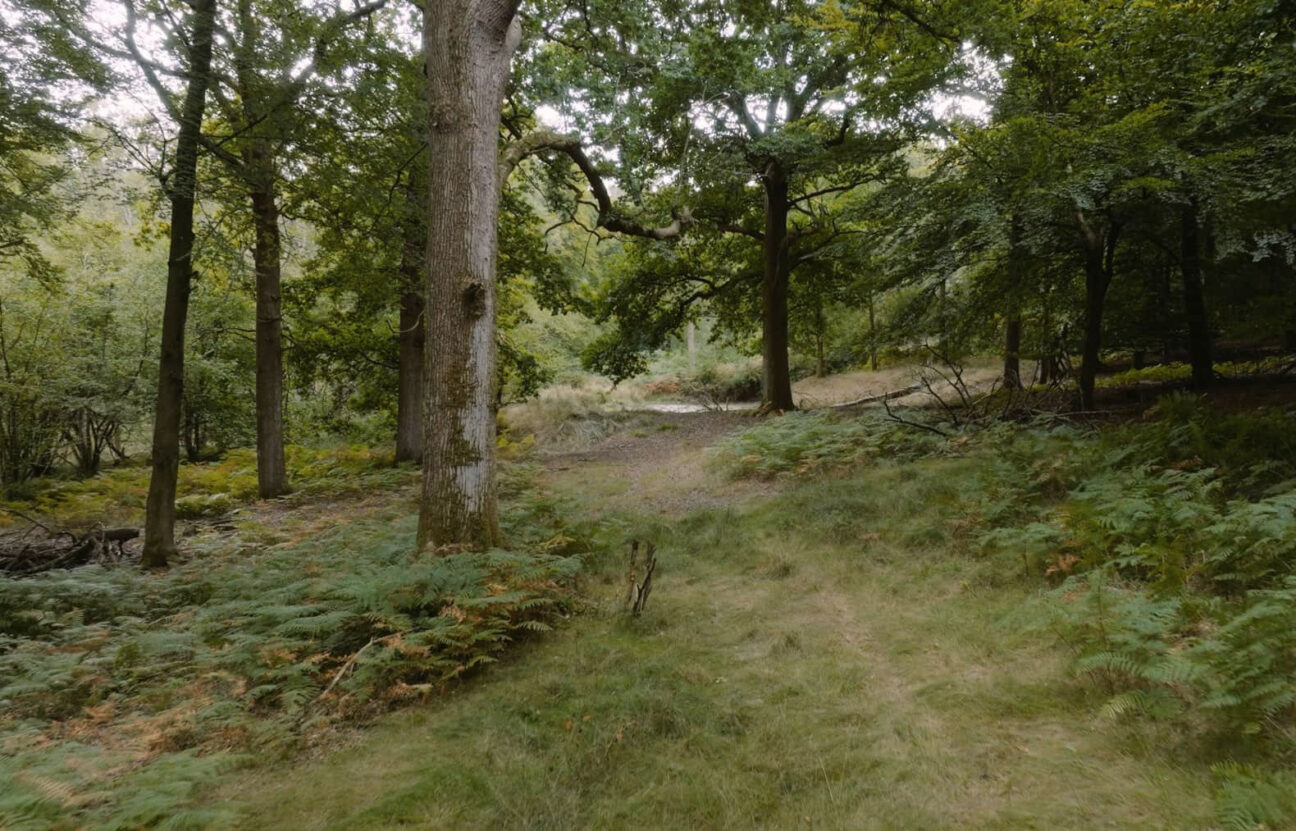 Coldharbour Farmhouse