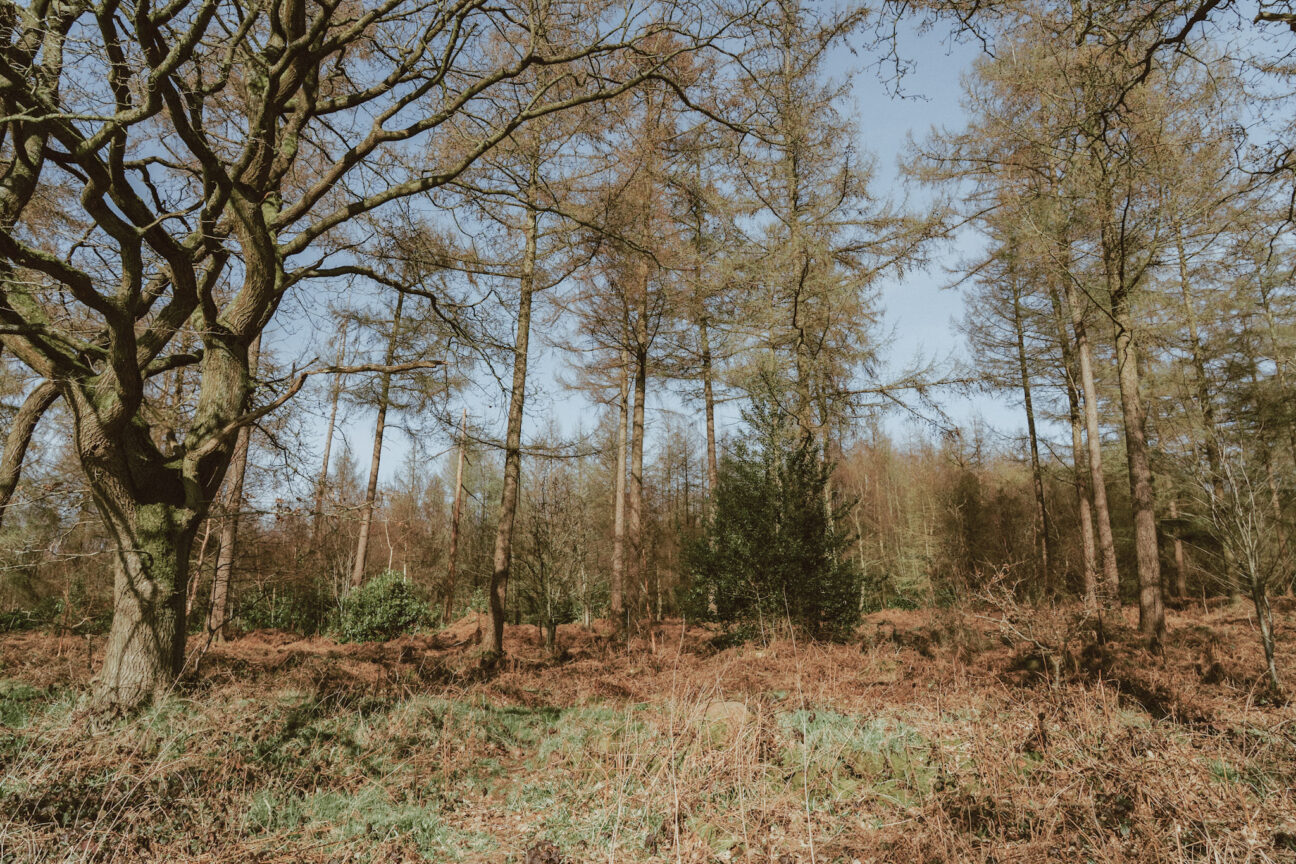 Alcor Shack, Staffordshire