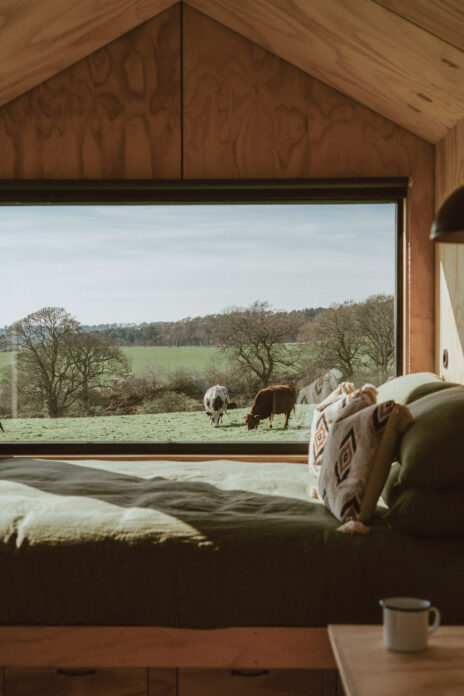 Staffordshire Shacks