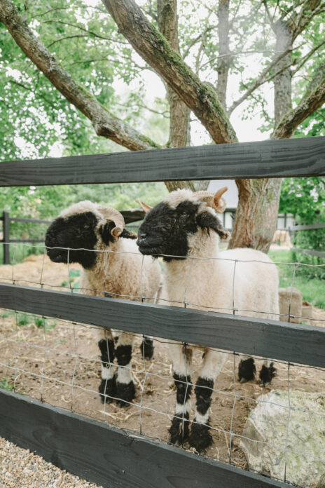Cart Lodge on Kip Hideaways