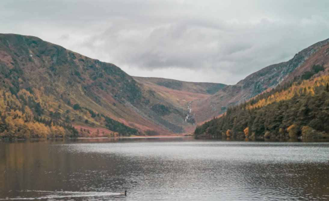Wicklow Mountains National Park