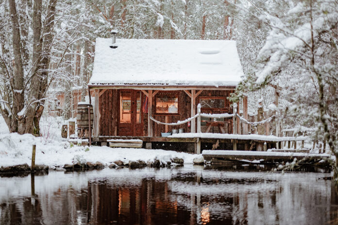 Lazy Duck - Duck's Nest