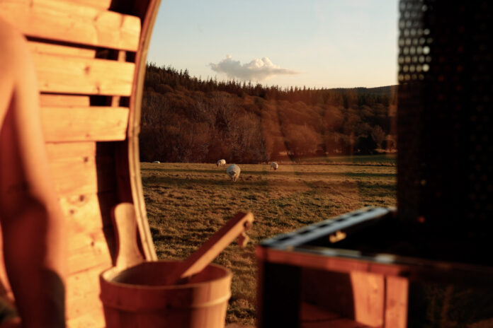 Tigin on Kip Hideaways