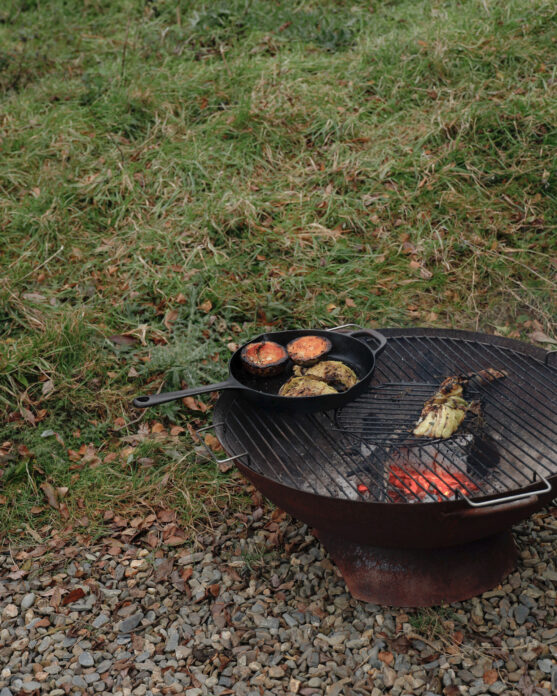 Tigin on Kip Hideaways