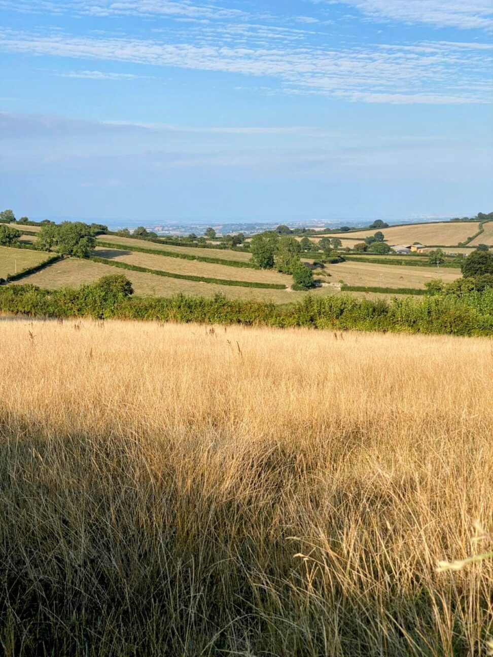 Combe Head House on Kip Hideaways