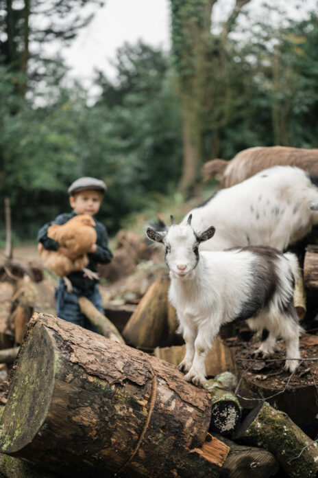 The Stables on Kip Hideaways